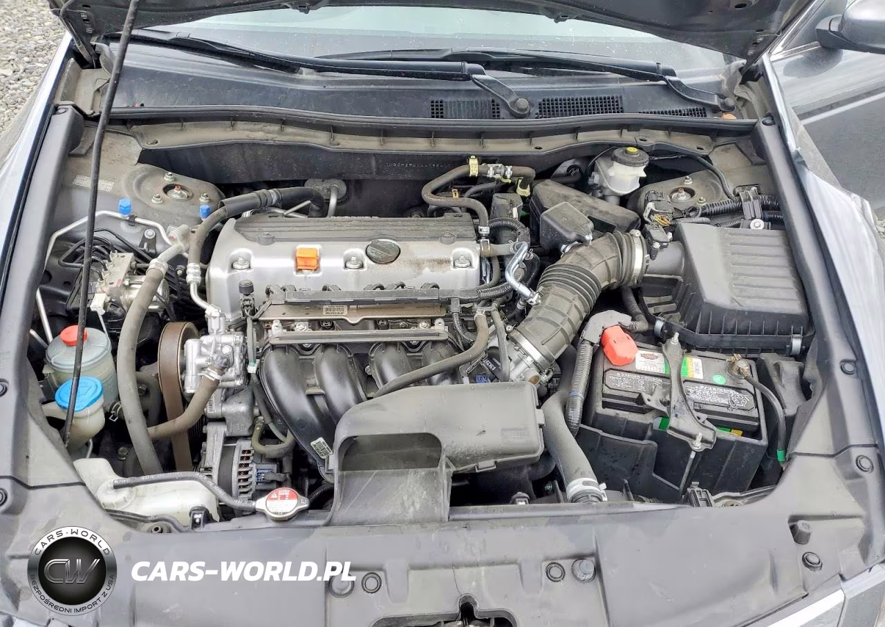 2010 Honda Accord Lxp VIN:1HGCP2F4XAA195407 - 11