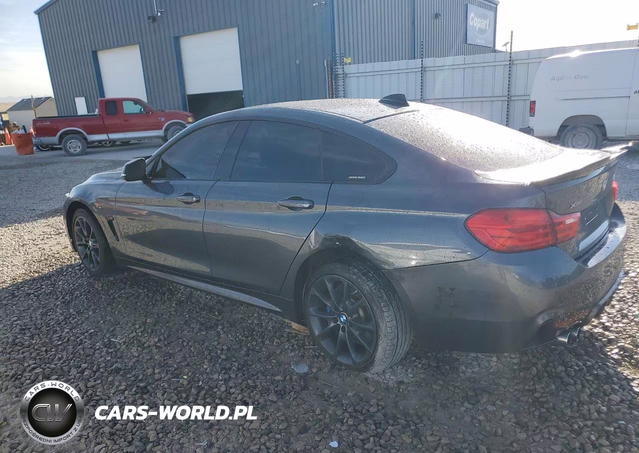 2017 BMW 430Xi Gran Coupe VIN:WBA4F9C31HG812756 - 2