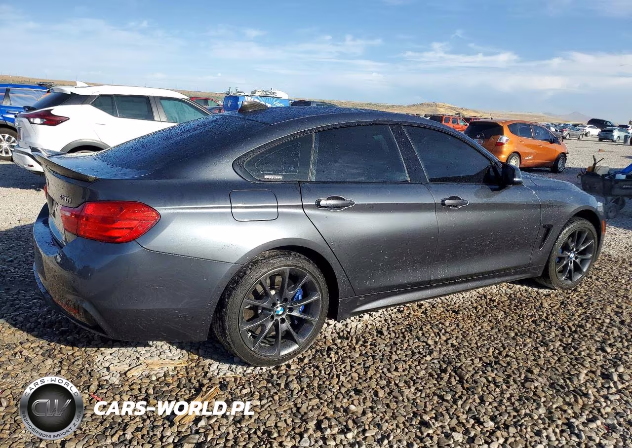 2017 BMW 430Xi Gran Coupe VIN:WBA4F9C31HG812756 - 3
