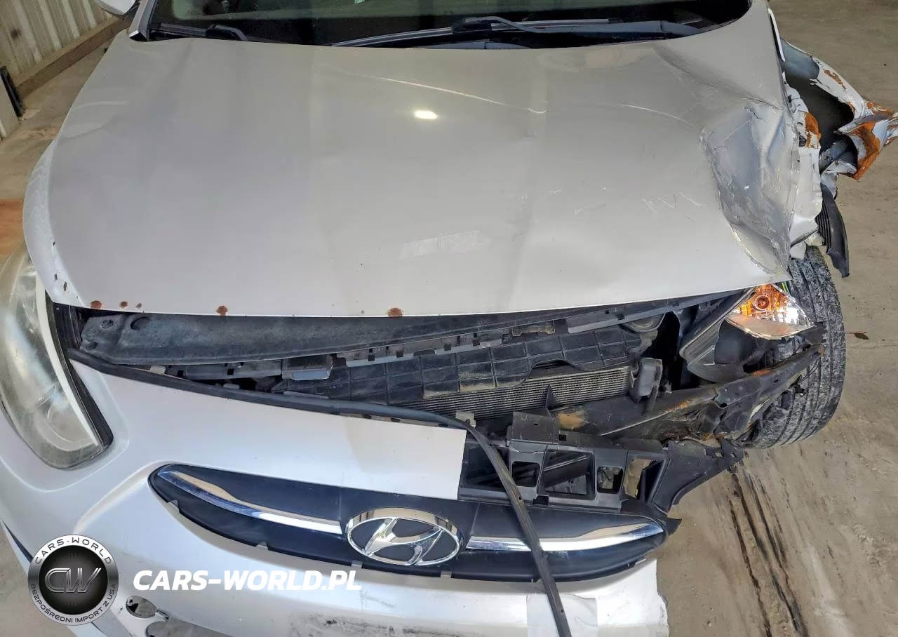 2015 Hyundai Accent Gs VIN:KMHCT5AE4FU219018 - 11