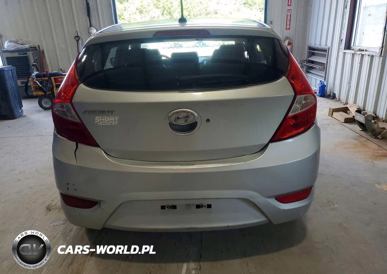 2015 Hyundai Accent Gs VIN:KMHCT5AE4FU219018 - 6