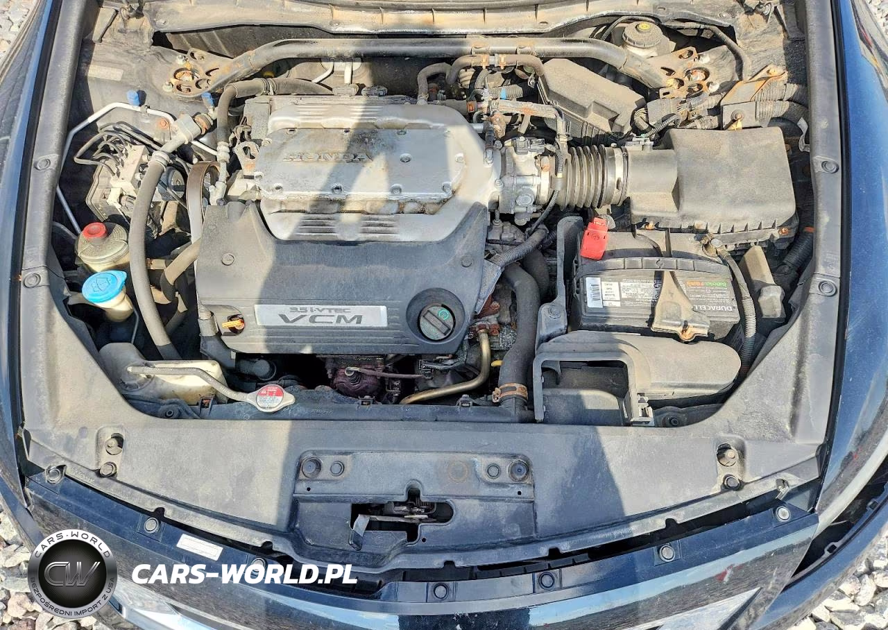 2008 Honda Accord Exl VIN:1HGCS22858A015039 - 11