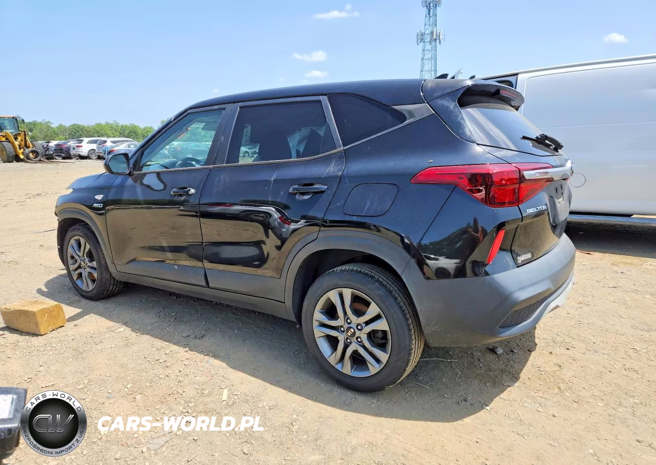 2021 Kia Seltos Lx VIN:KNDEPCAA9M7045980 - 2