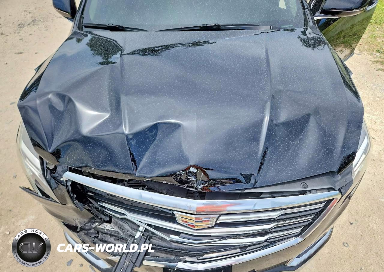 2019 Cadillac Xts Luxury VIN:2G61M5S30K9136508 - 11