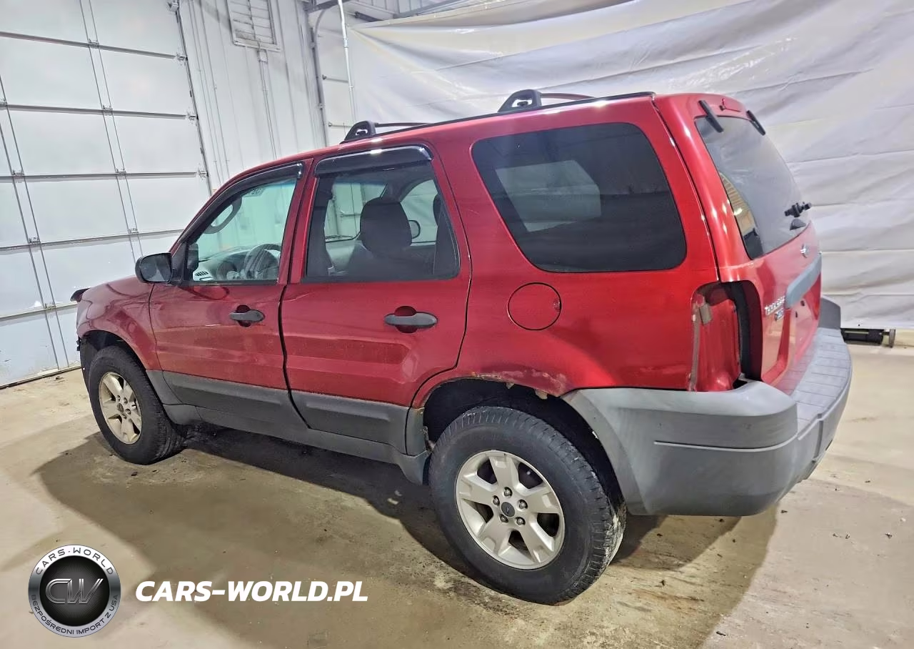2007 Ford Escape Xlt VIN:1FMYU03117KA06489 - 2