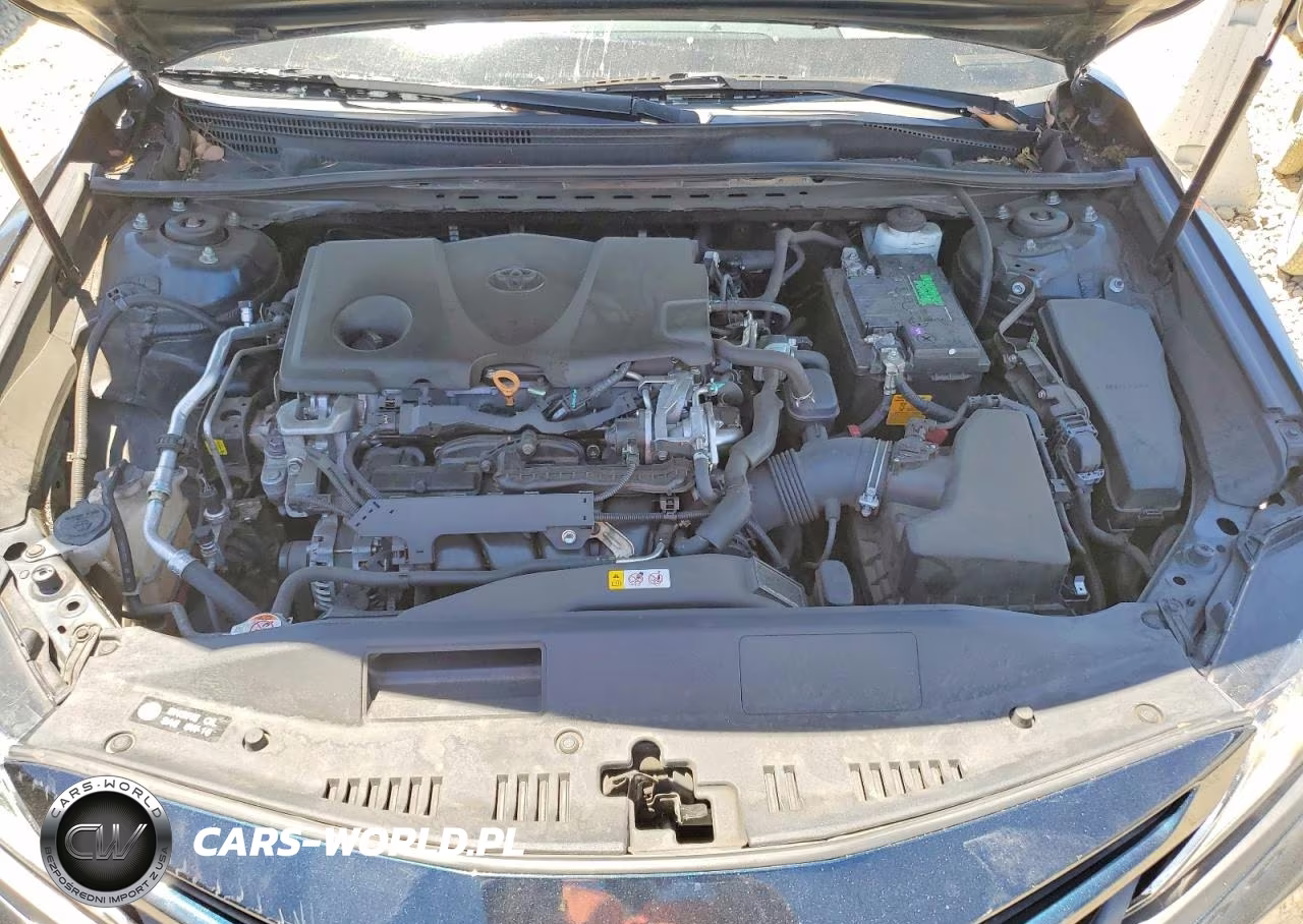 2019 Toyota Camry Se VIN:4T1B11HK5KU255185 - 11