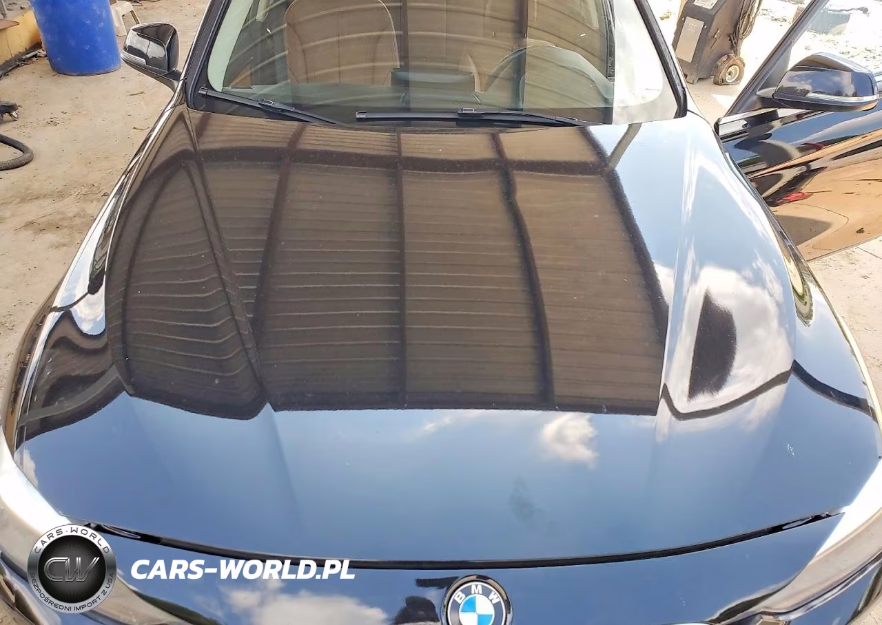 2015 BMW 328 Xi Sulev VIN:WBA3B5C51FF963424 - 11