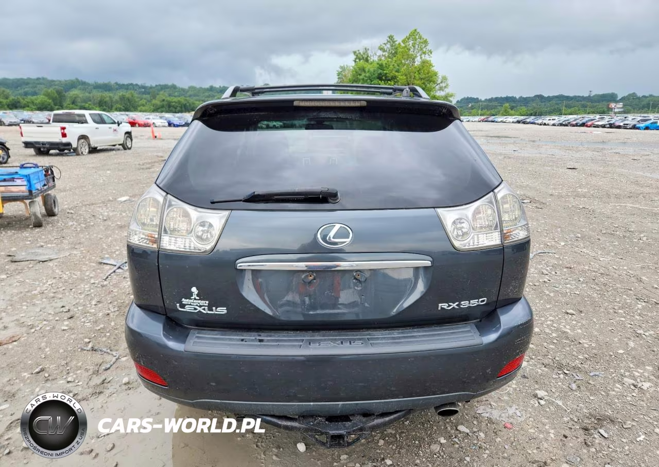 2007 Lexus Rx 350 VIN:2T2HK31U17C002478 - 6