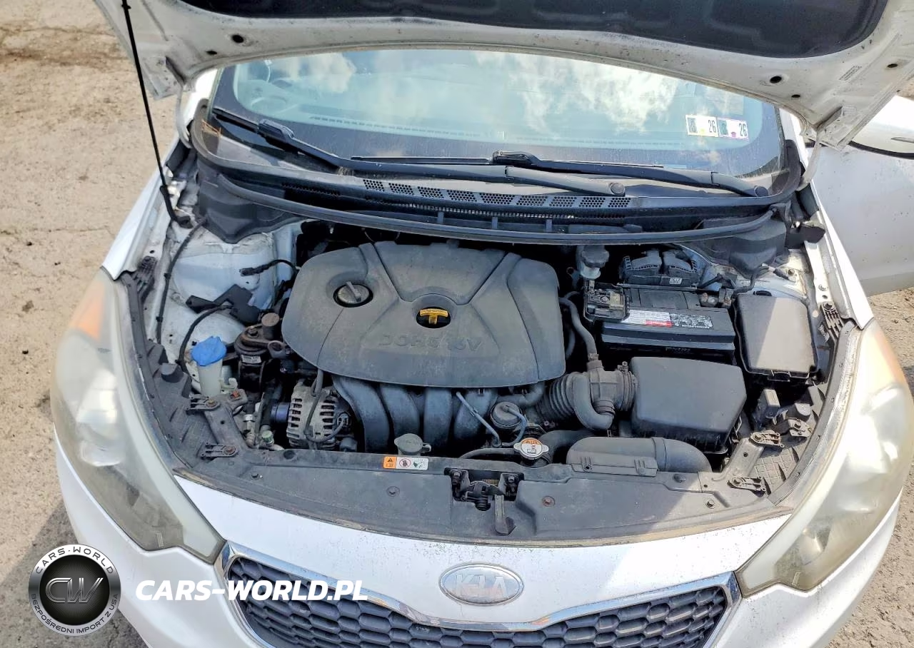 2014 Kia Forte Lx VIN:KNAFX4A60E5055121 - 11