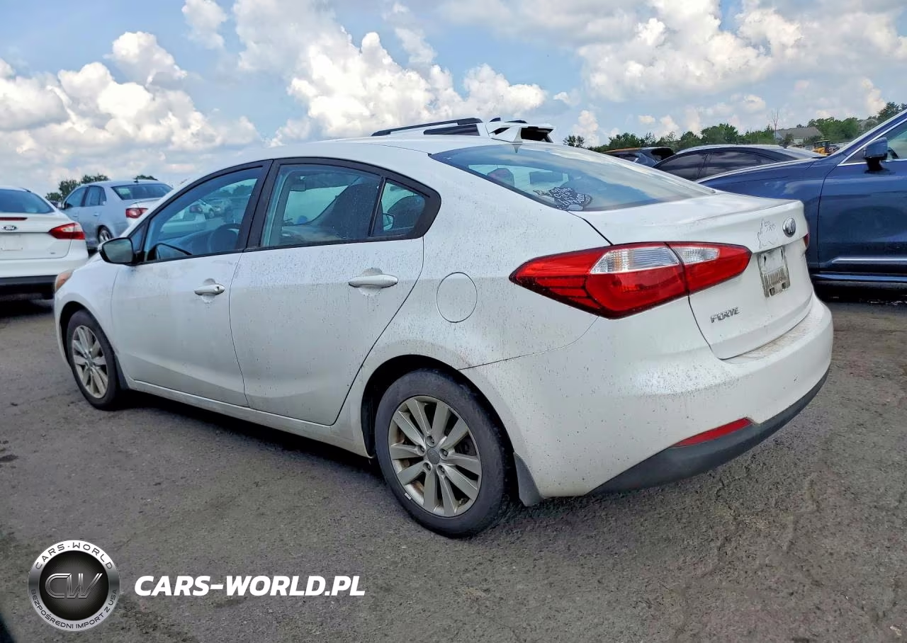 2014 Kia Forte Lx VIN:KNAFX4A60E5055121 - 2
