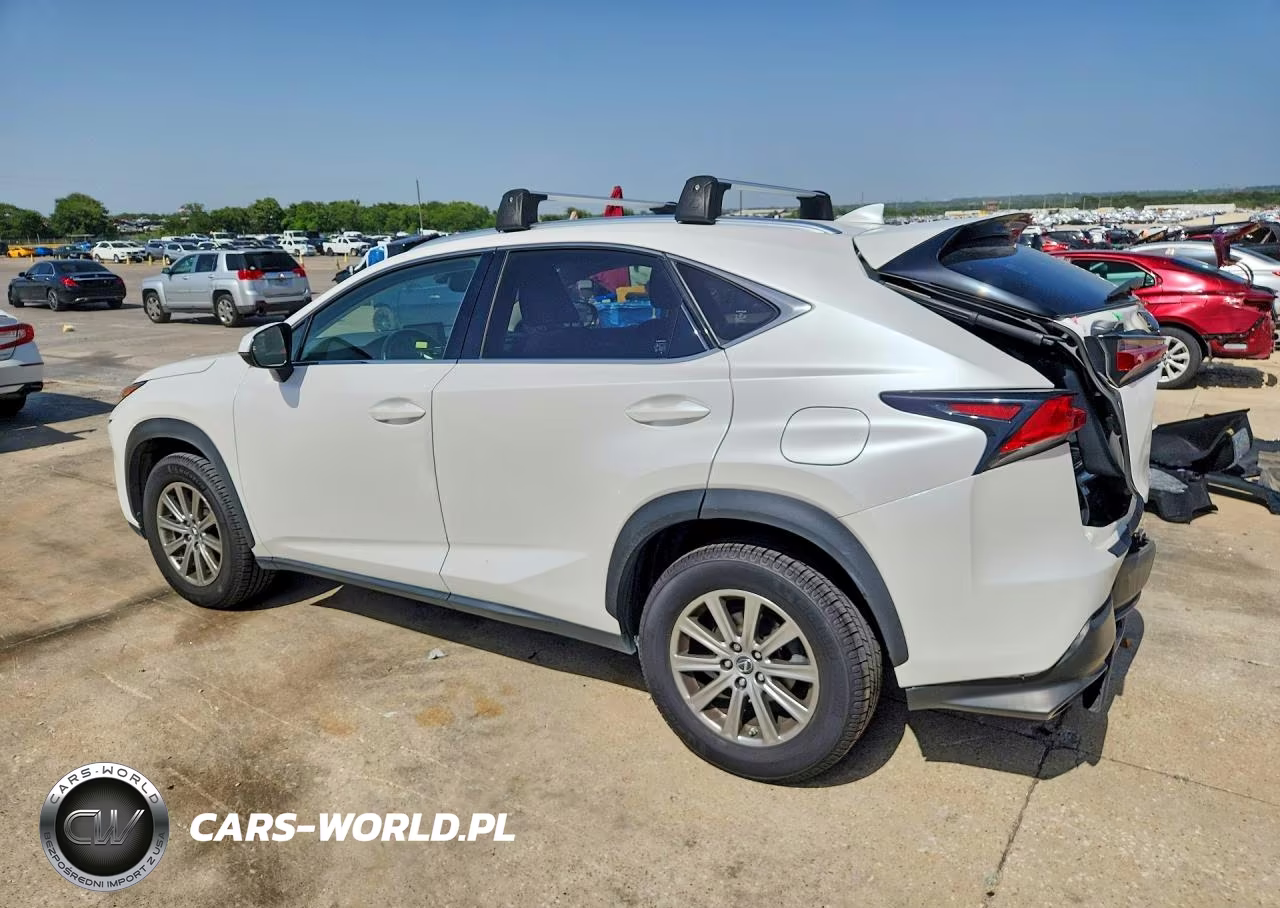 2019 Lexus Nx 300 Base VIN:JTJBARBZ6K2197671 - 2