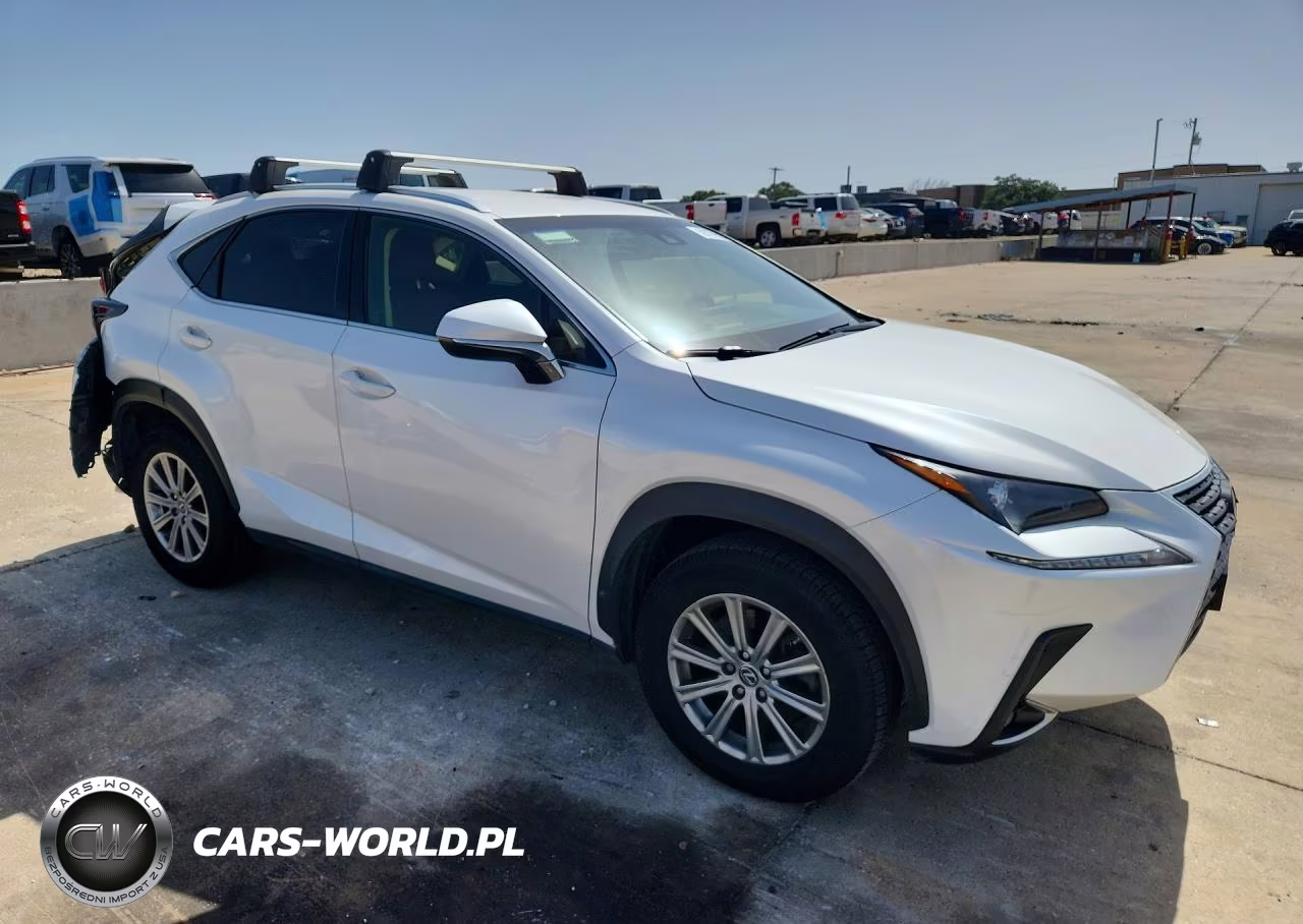 2019 Lexus Nx 300 Base VIN:JTJBARBZ6K2197671 - 4
