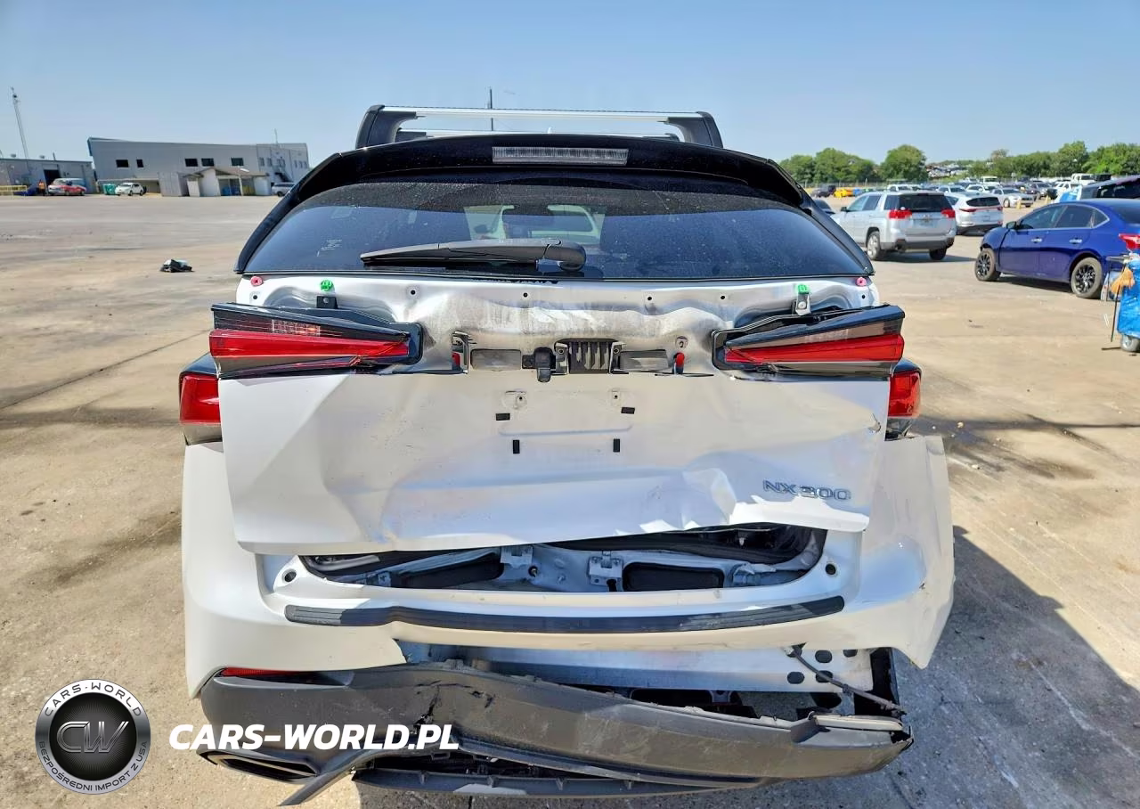 2019 Lexus Nx 300 Base VIN:JTJBARBZ6K2197671 - 6