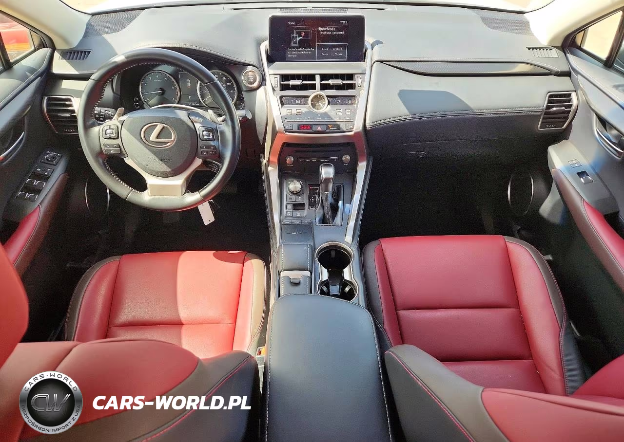 2019 Lexus Nx 300 Base VIN:JTJBARBZ6K2197671 - 8