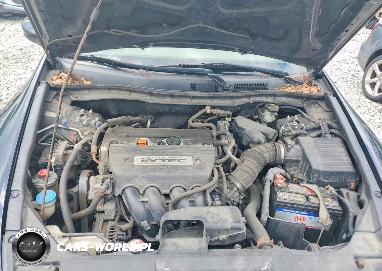 2009 Honda Accord Lx VIN:1HGCP26329A041146 - 11