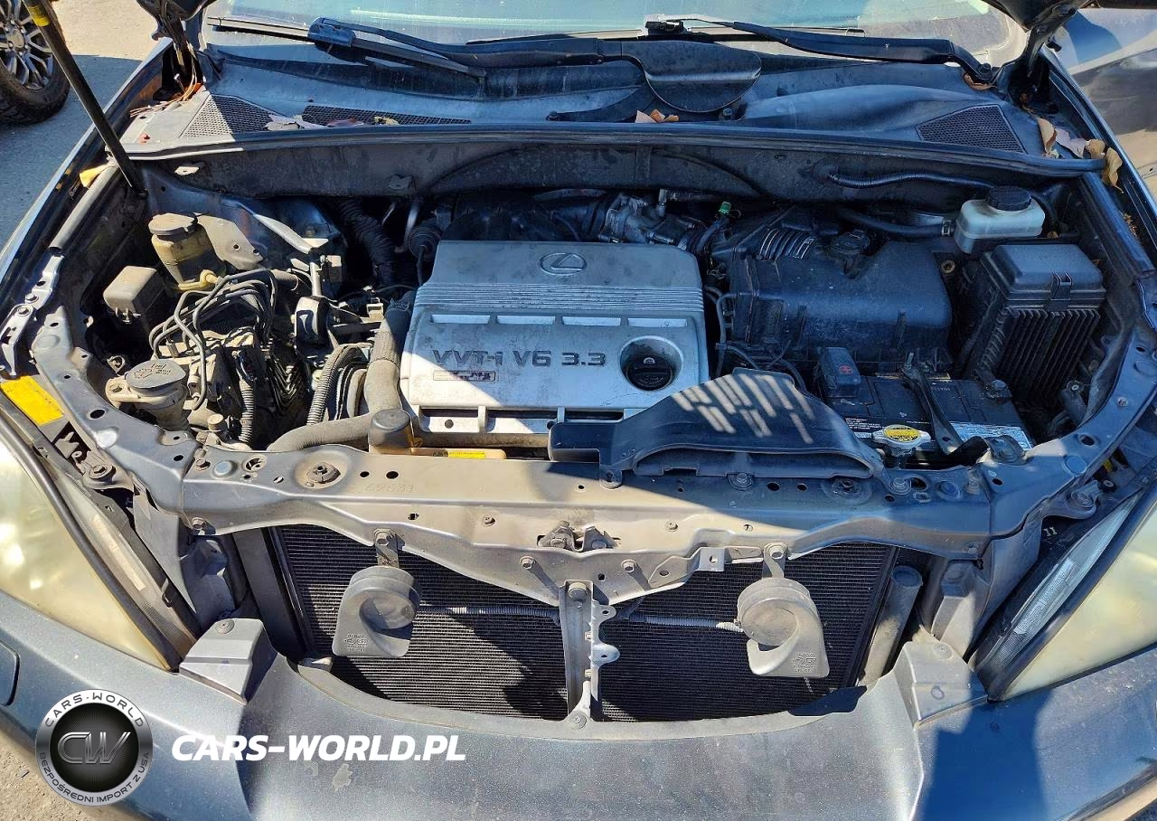 2004 Lexus Rx 330 VIN:JTJHA31U440015509 - 11