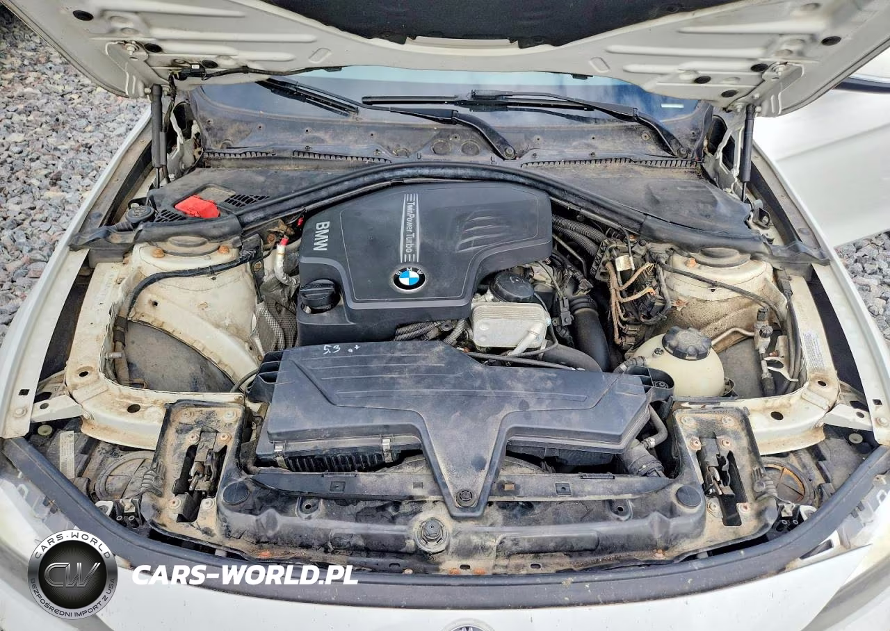 2013 BMW 320 I xDrive VIN:WBA3C3C54DF979793 - 11