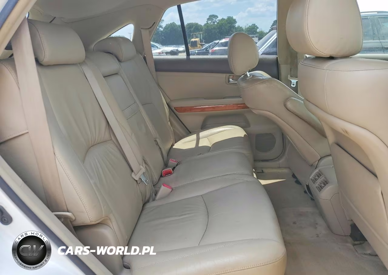 2007 Lexus Rx 350 VIN:JTJGK31U470003163 - 11