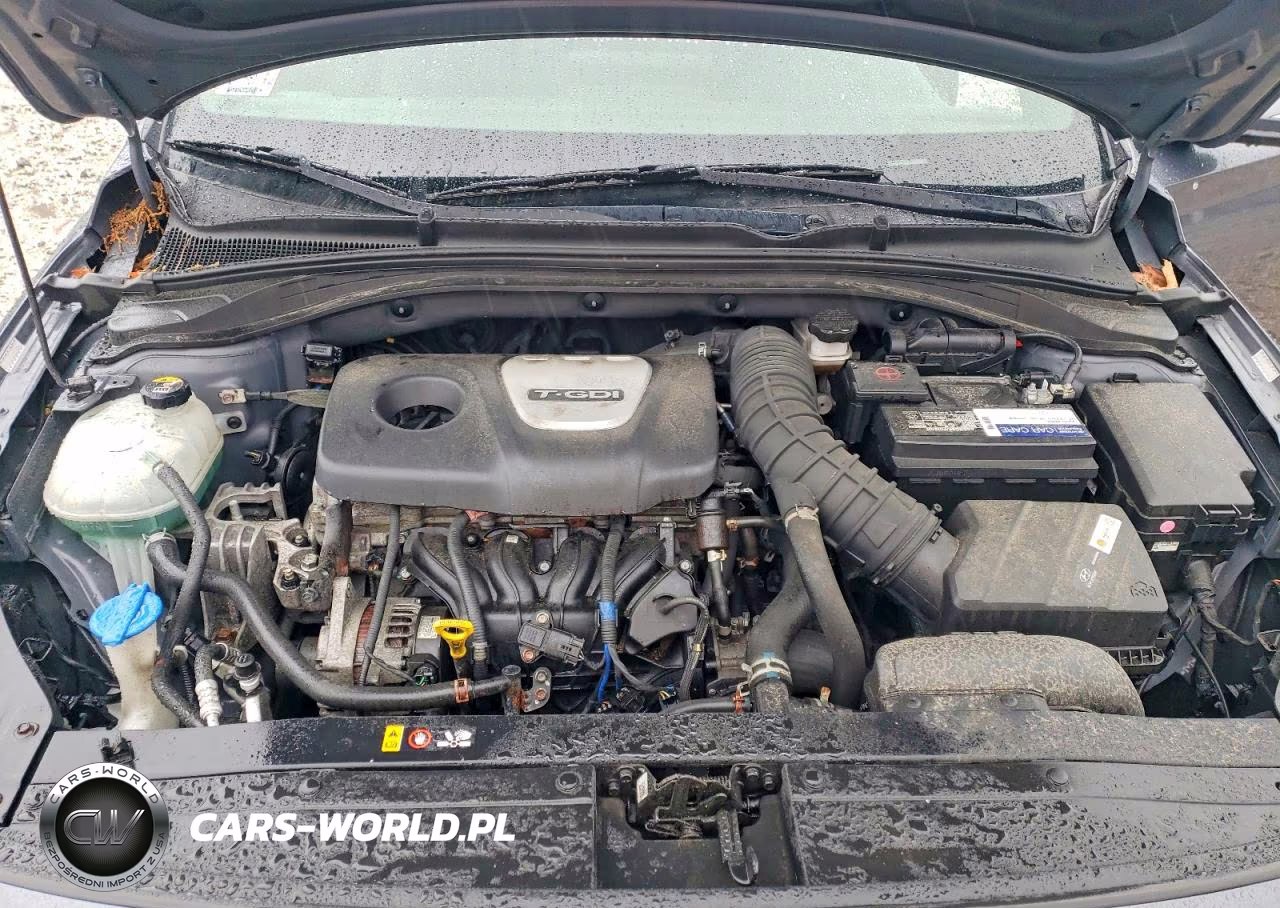 2018 Hyundai Elantra Gt Sport VIN:KMHH55LC7JU024129 - 11