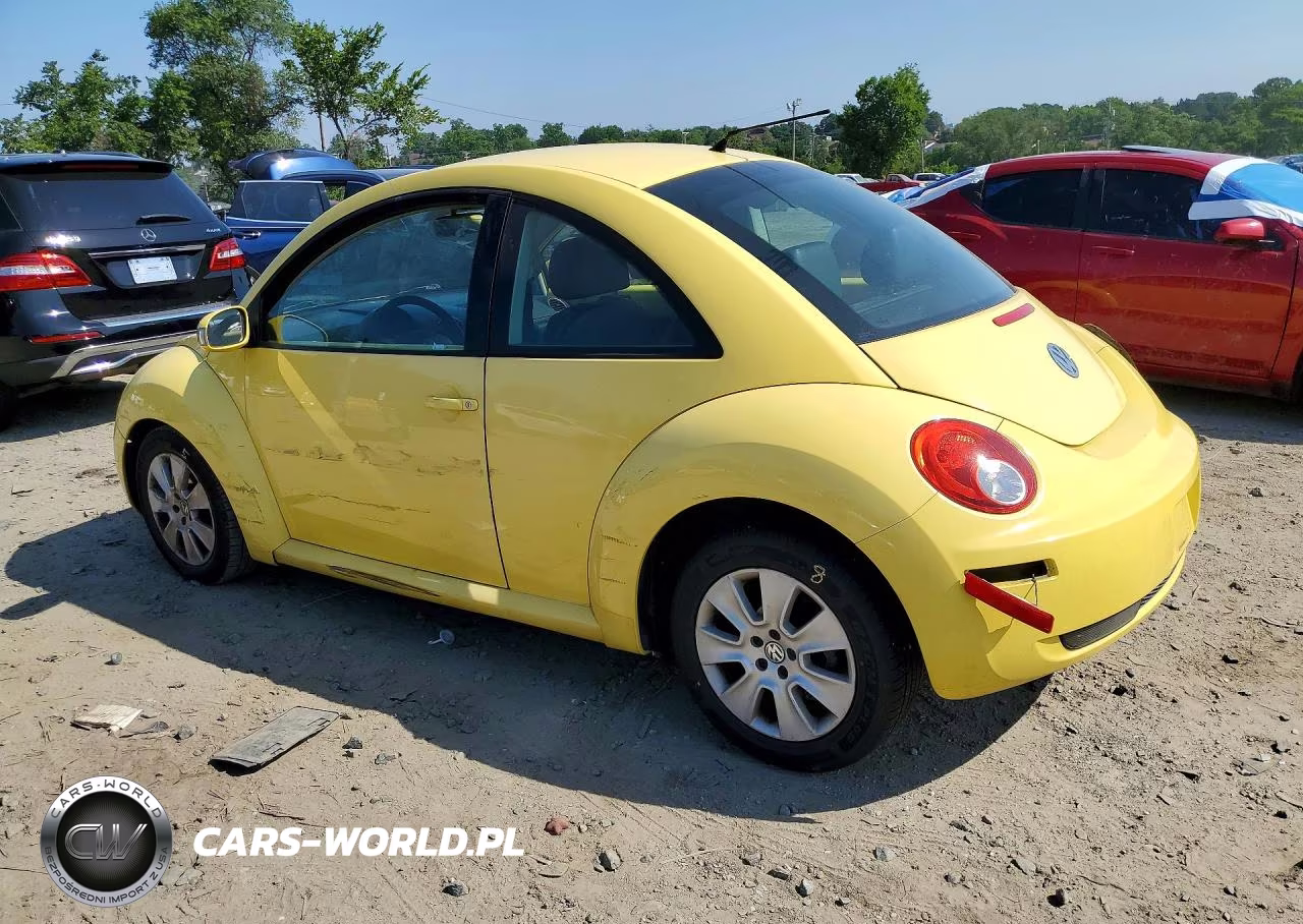 2008 Volkswagen New Beetle S VIN:3VWPW31C78M521391 - 2