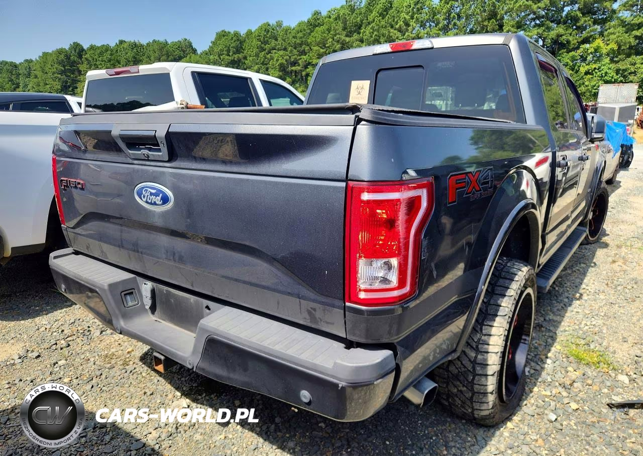 2016 Ford F150 Supercrew VIN:1FTEW1EG8GFD55005 - 3