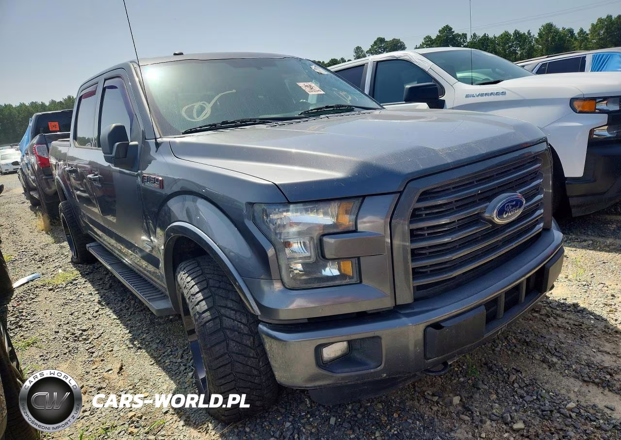 2016 Ford F150 Supercrew VIN:1FTEW1EG8GFD55005 - 4