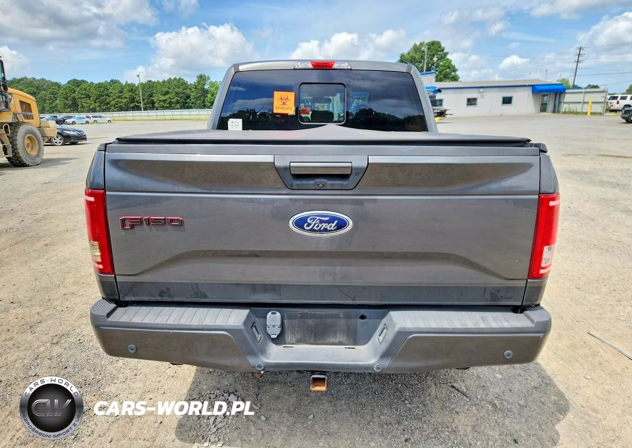 2016 Ford F150 Supercrew VIN:1FTEW1EG8GFD55005 - 6