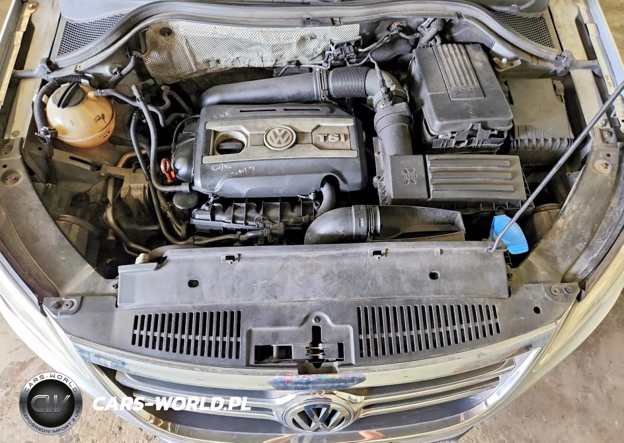 2011 Volkswagen Tiguan S VIN:WVGBV7AX0BW524260 - 12