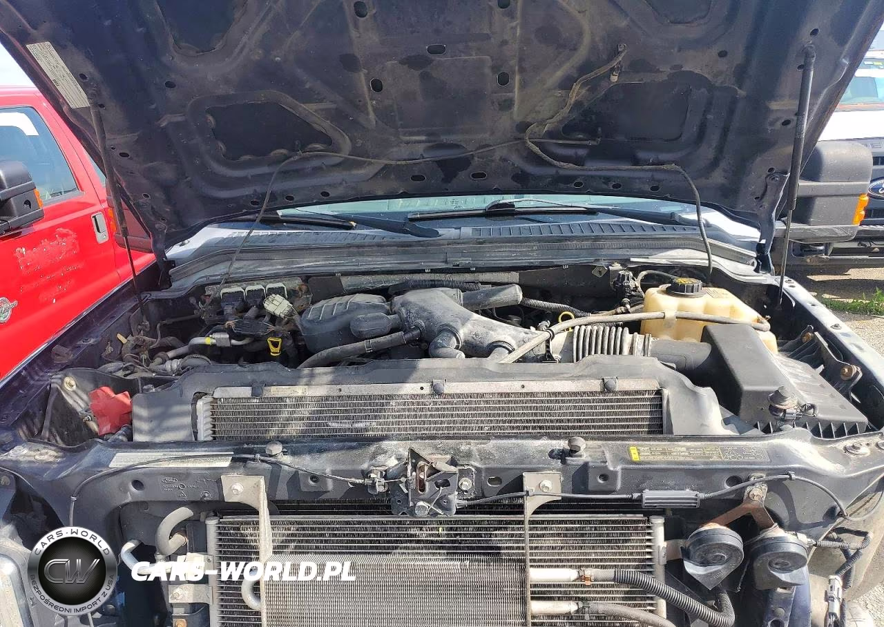 2009 Ford F350 Super Duty VIN:1FTWW31Y39EB17487 - 11