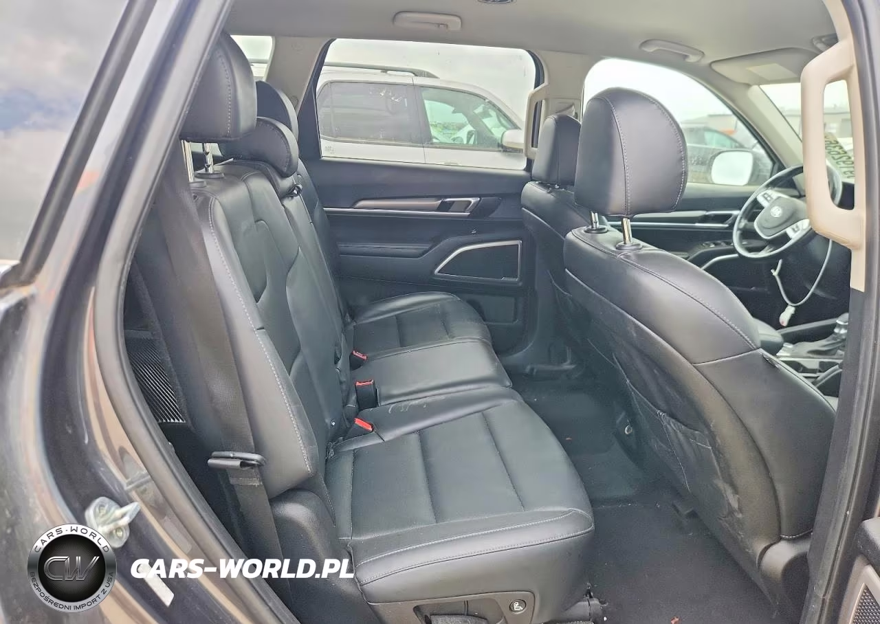2020 Kia Telluride Lx VIN:5XYP2DHC6LG069594 - 11