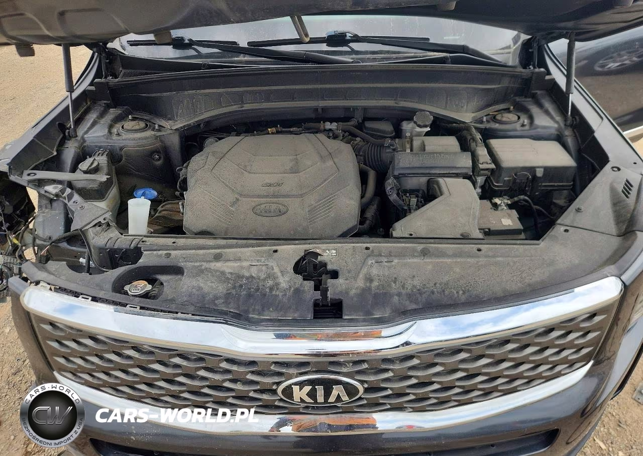 2020 Kia Telluride Lx VIN:5XYP2DHC6LG069594 - 12