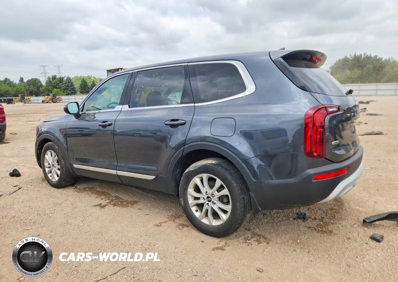 2020 Kia Telluride Lx VIN:5XYP2DHC6LG069594 - 2