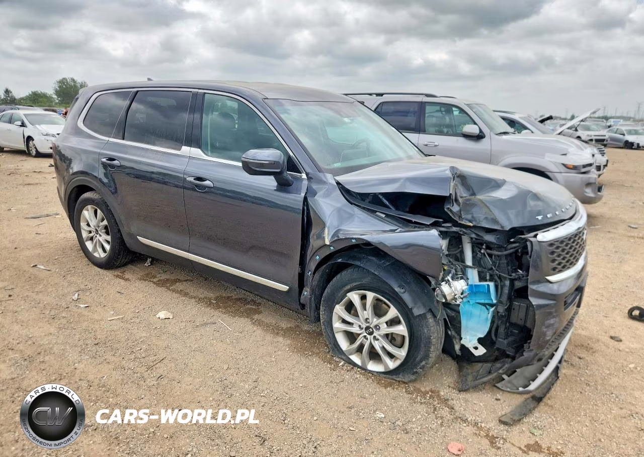 2020 Kia Telluride Lx VIN:5XYP2DHC6LG069594 - 4