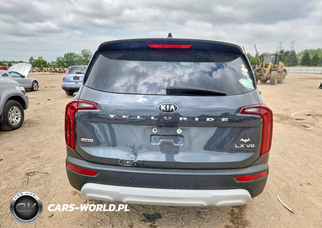 2020 Kia Telluride Lx VIN:5XYP2DHC6LG069594 - 6