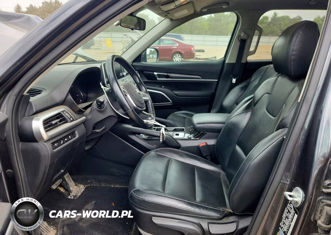 2020 Kia Telluride Lx VIN:5XYP2DHC6LG069594 - 7