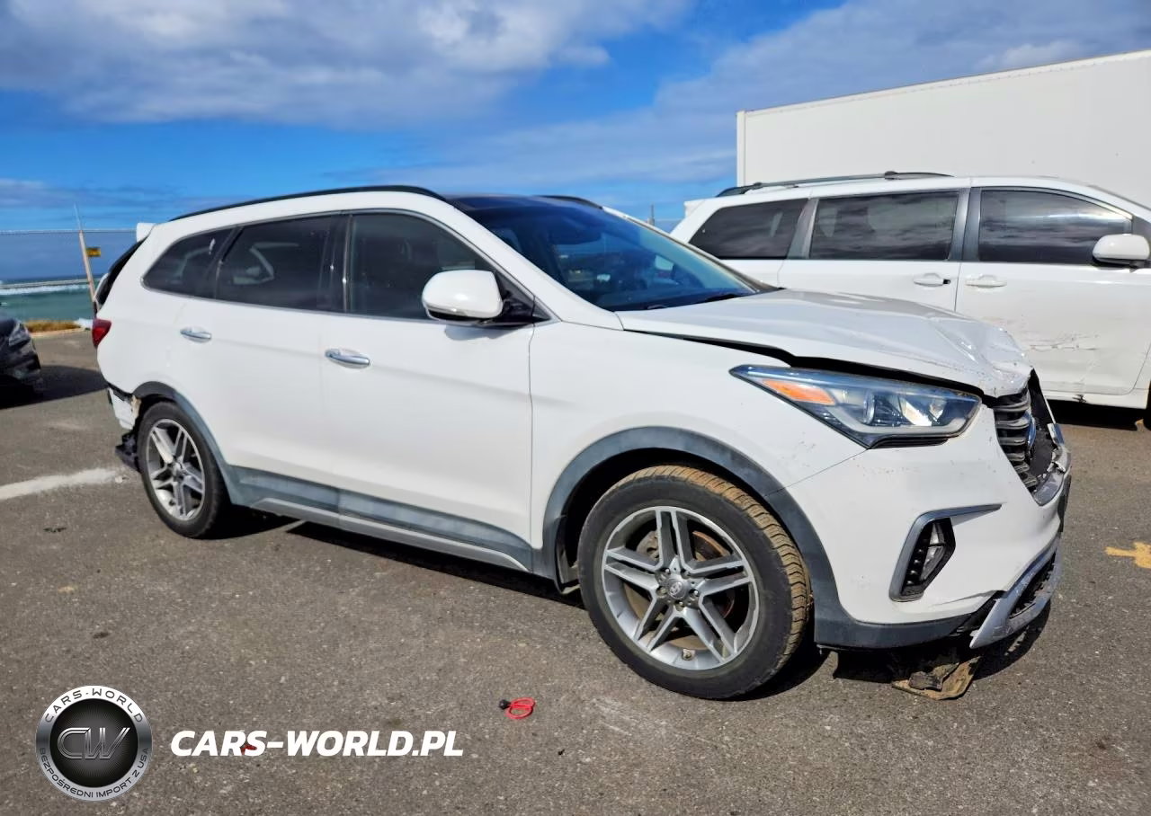 2017 Hyundai Santa Fe Limited Ultimate VIN:KM8SR4HF4HU215489 - 4