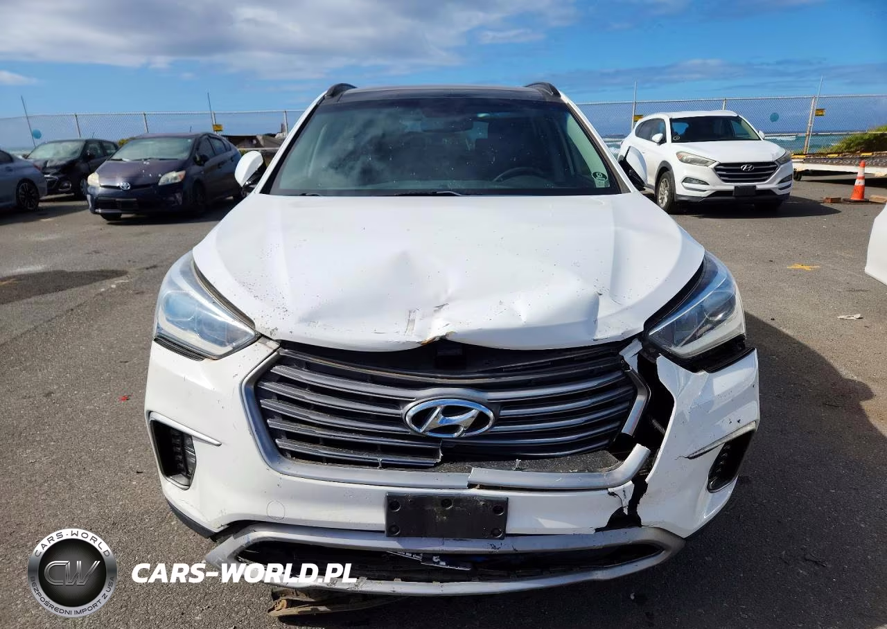 2017 Hyundai Santa Fe Limited Ultimate VIN:KM8SR4HF4HU215489 - 5