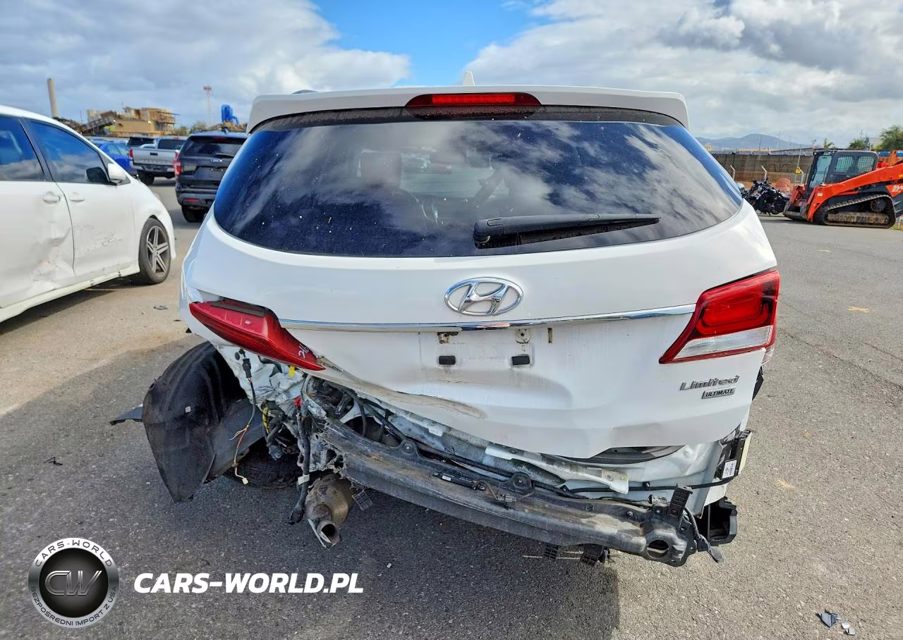 2017 Hyundai Santa Fe Limited Ultimate VIN:KM8SR4HF4HU215489 - 6