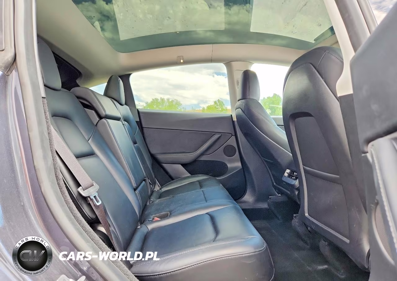 2023 Tesla Model Y VIN:7SAYGDEE8PF935484 - 10