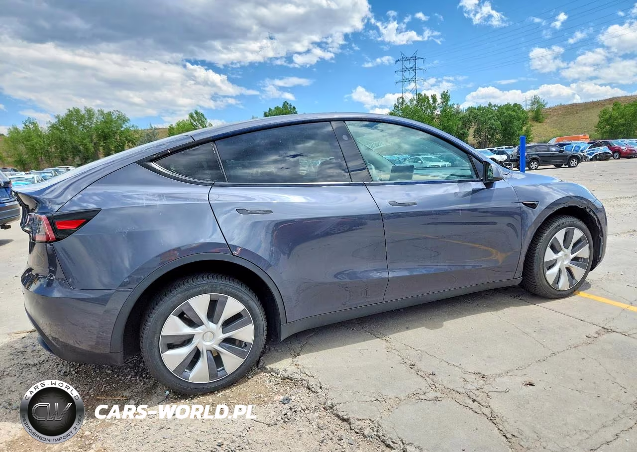 2023 Tesla Model Y VIN:7SAYGDEE8PF935484 - 3