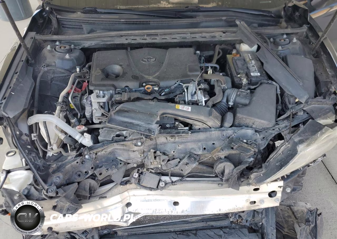 2019 Toyota Camry Le VIN:4T1B11HK4KU268378 - 11