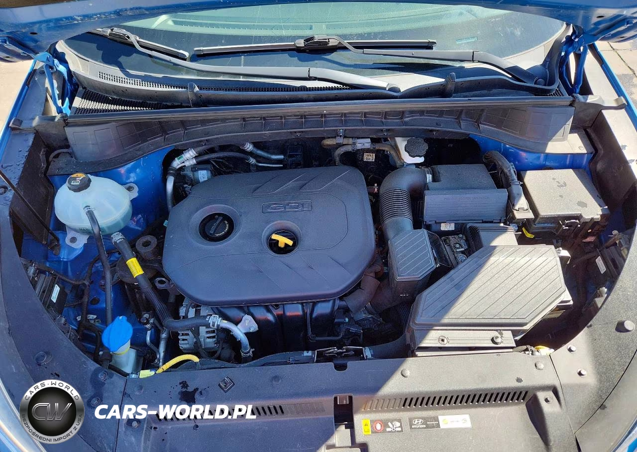 2019 Hyundai Tucson Se VIN:KM8J2CA47KU955404 - 12