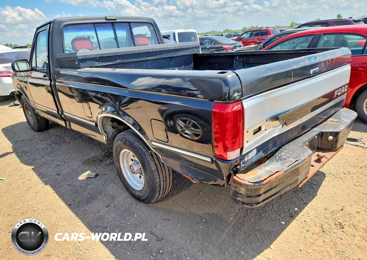 1993 Ford F150 VIN:1FTEF15N8PLB23648 - 2