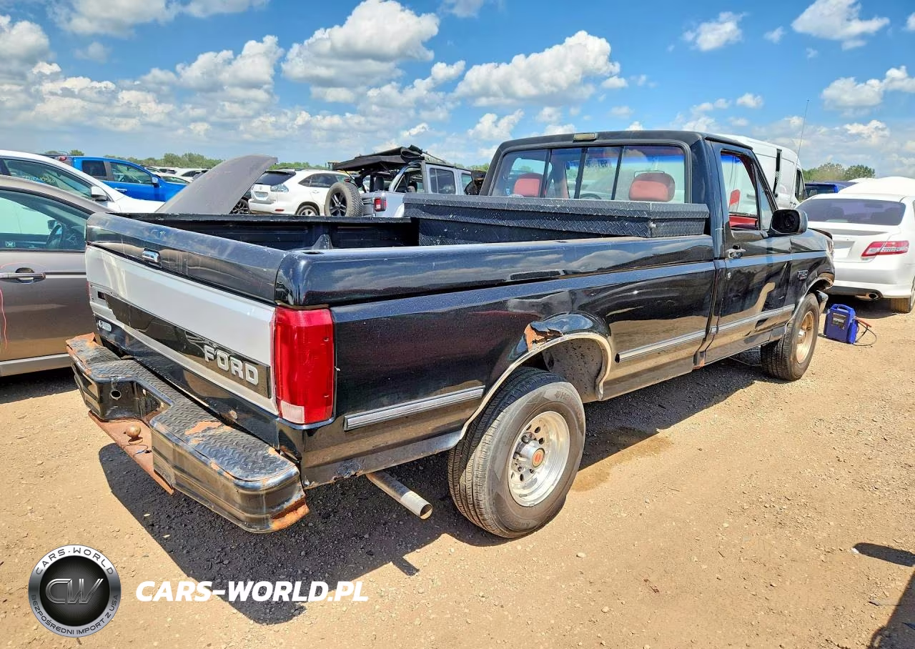 1993 Ford F150 VIN:1FTEF15N8PLB23648 - 3