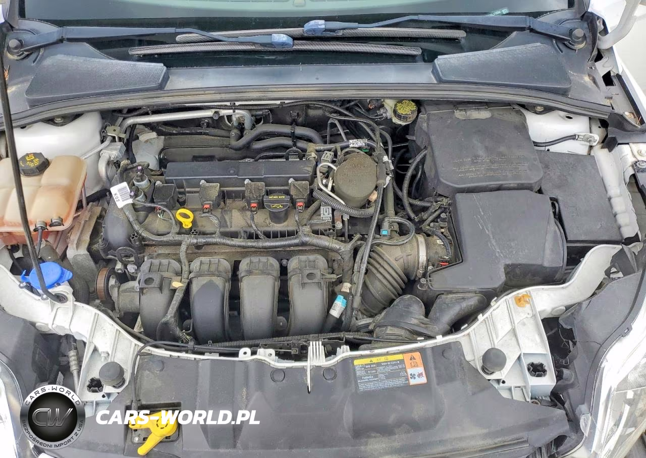 2013 Ford Focus S VIN:1FADP3E23DL379594 - 11