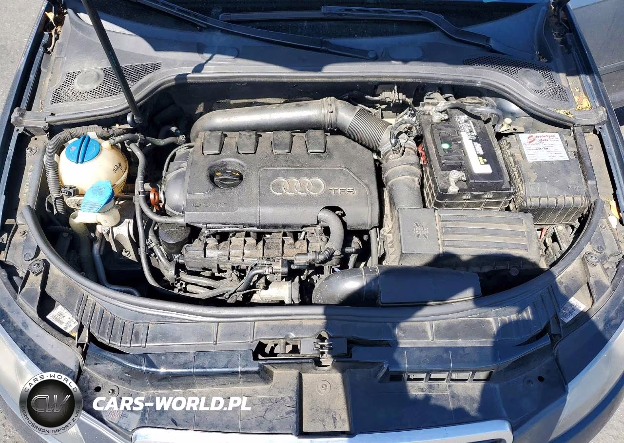 2011 Audi A3 Premium Plus VIN:WAUMFAFM7BA081072 - 11