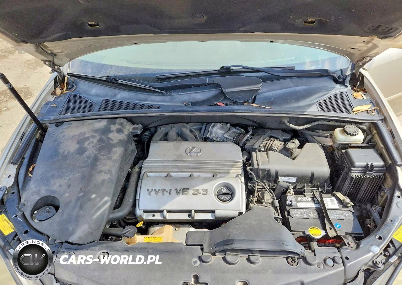 2006 Lexus Rx 330 VIN:JTJHA31U360104488 - 12