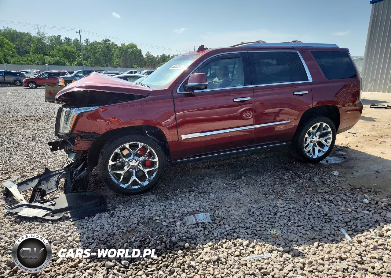 2019 Cadillac Escalade Platinum VIN:1GYS4DKJ1KR102670 - 1