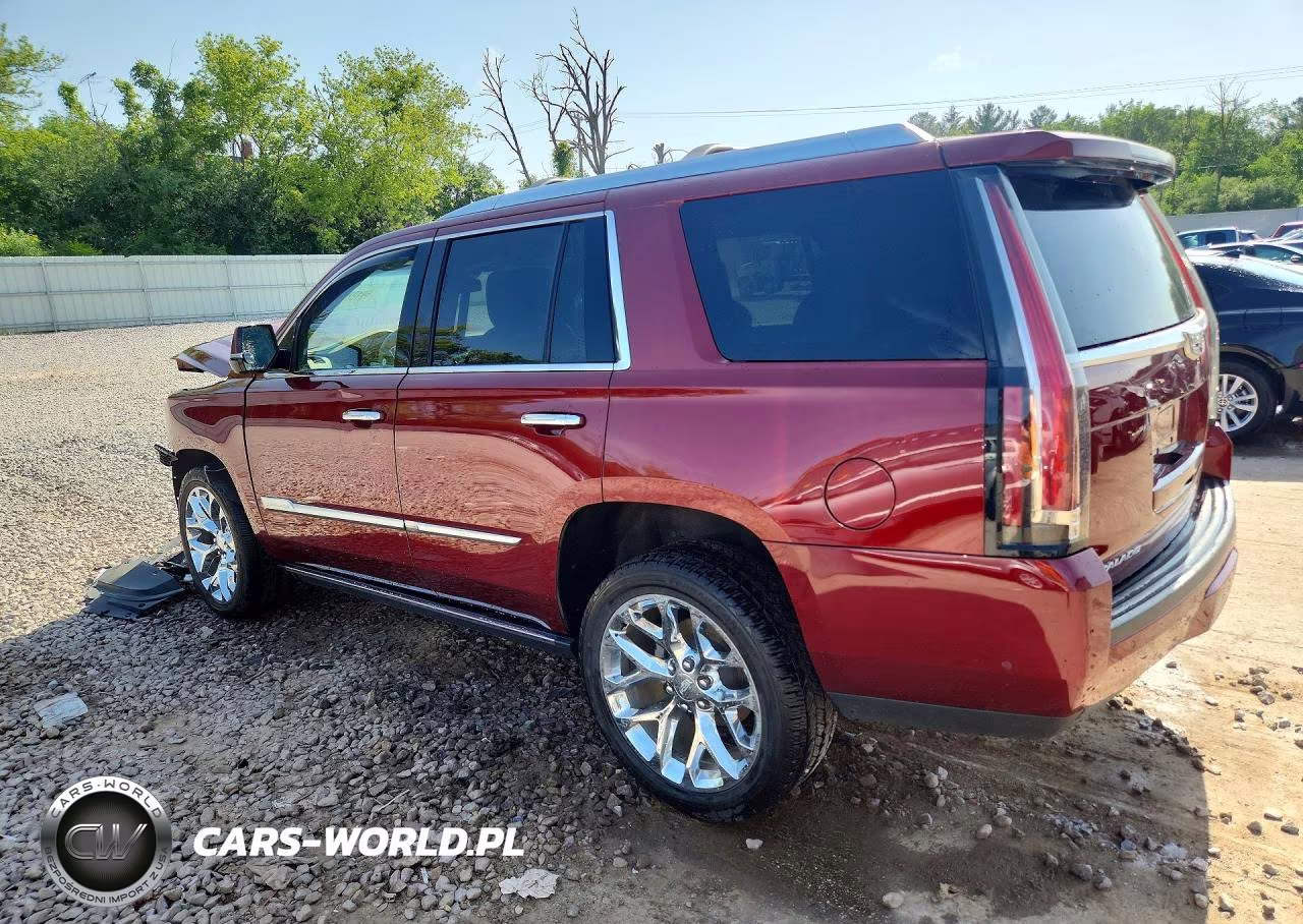 2019 Cadillac Escalade Platinum VIN:1GYS4DKJ1KR102670 - 2