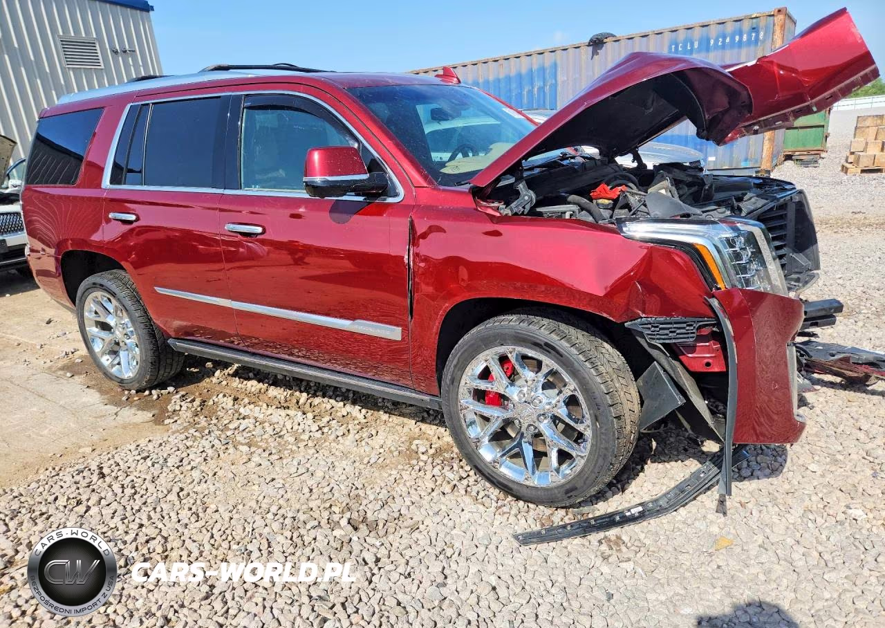 2019 Cadillac Escalade Platinum VIN:1GYS4DKJ1KR102670 - 4